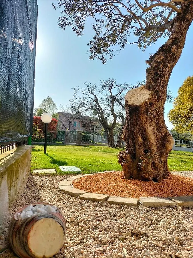 Casa Degli Ulivi Villa Lazise 0*,